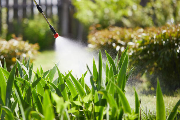 24/7 Emergency Cockroach Control experts in Willmar, MN